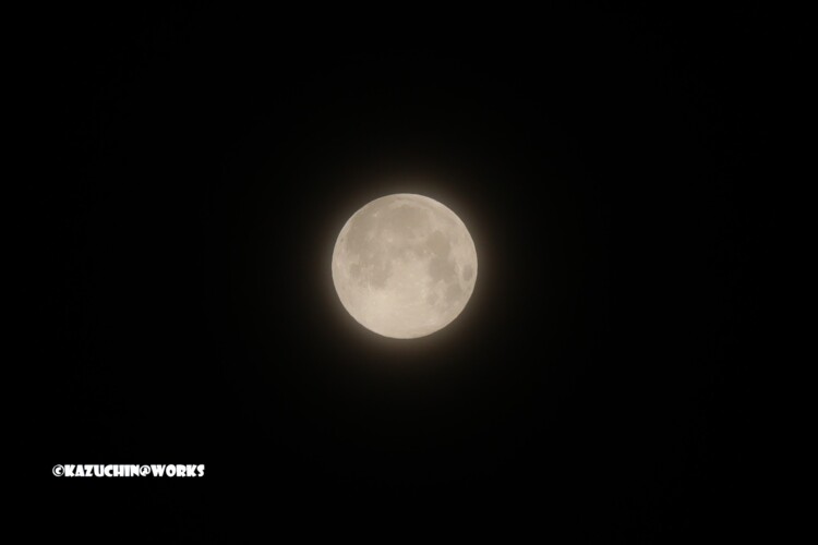 2019/02/20 SM 1/320 F8 ISO400 WB曇り トリミング 2019/02/20 SM 1/320 F8 ISO400 WB曇り トリミング