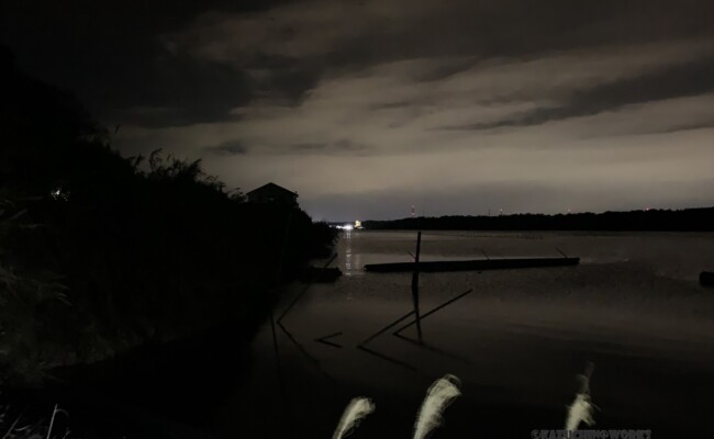 2019/02/08 庄内湖(浜名市西区) 2019/02/08 庄内湖(浜名市西区)