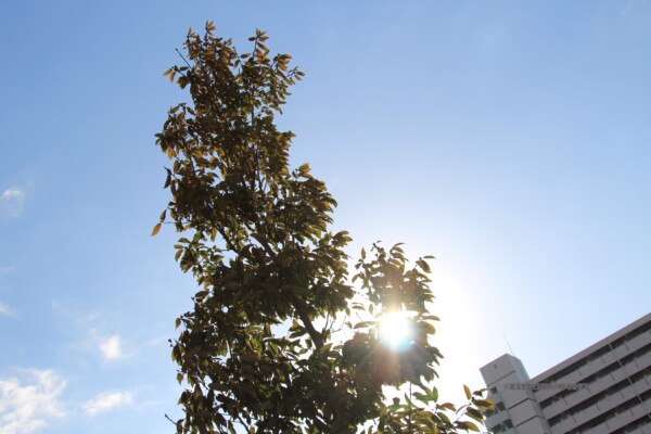 2019/02/02 名古屋学院大学から その2 2019/02/02 名古屋学院大学から その2