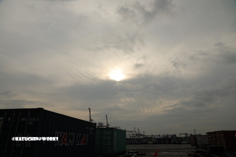 2019/03/06 僅かな陽を求めて 02 2019/03/06 僅かな陽を求めて 02