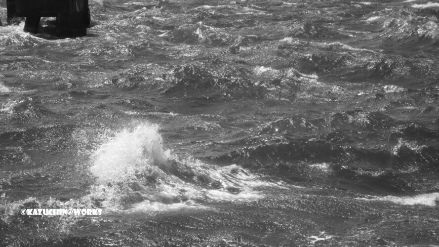 2007/04/14 対策モノクロ 02 2007/04/14 対策モノクロ 02