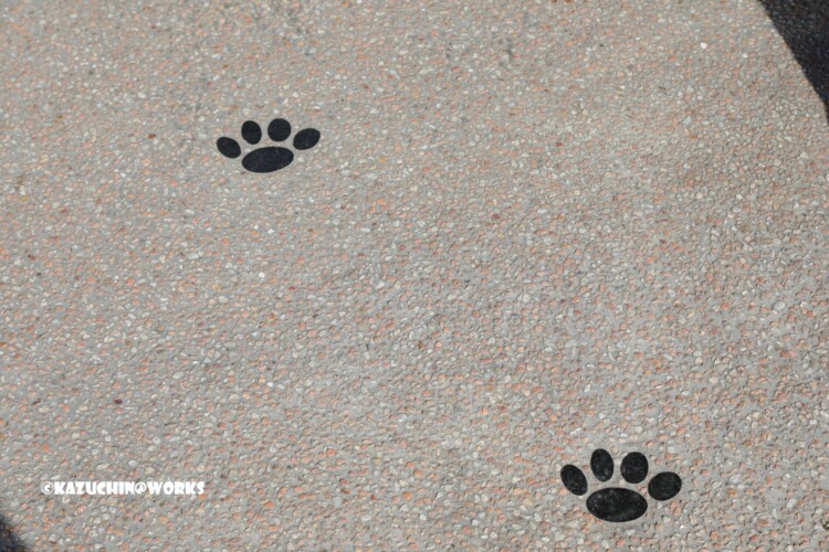 2019/03/31 伊勢神宮 おかげ横丁 スヌーピー茶屋 03 2019/03/31 伊勢神宮 おかげ横丁 スヌーピー茶屋 03