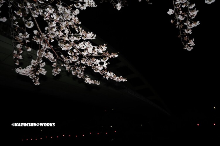 2019/04/04 荒子川公園 パークブリッジ 01 2019/04/04 荒子川公園 パークブリッジ 01