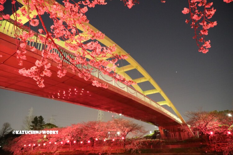 2019/04/04 荒子川公園 パークブリッジ 02 2019/04/04 荒子川公園 パークブリッジ 02