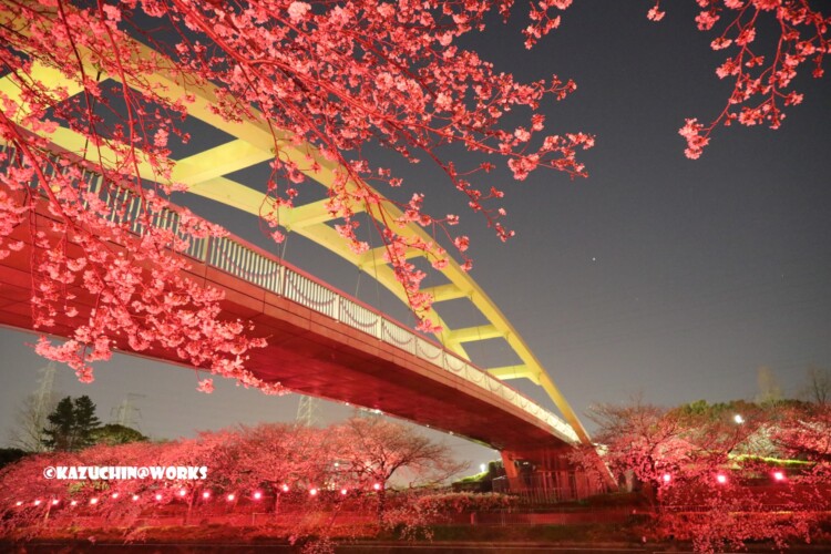 2019/04/04 荒子川公園 パークブリッジ 03 2019/04/04 荒子川公園 パークブリッジ 03
