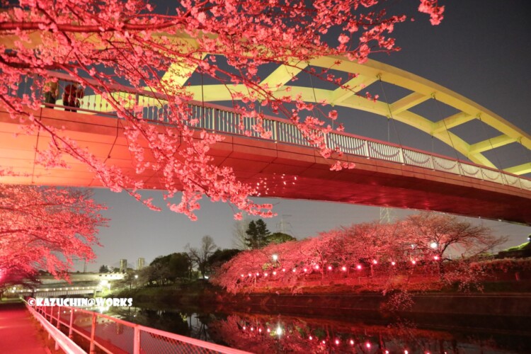 2019/04/04 荒子川公園 パークブリッジ 04 2019/04/04 荒子川公園 パークブリッジ 04