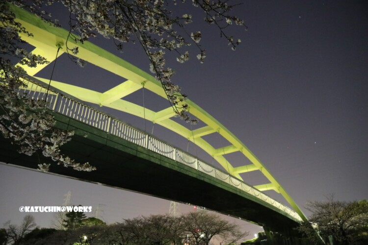 2019/04/04 荒子川公園 パークブリッジ 05 2019/04/04 荒子川公園 パークブリッジ 05