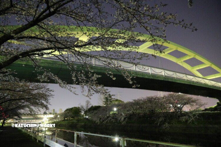 2019/04/04 荒子川公園 パークブリッジ 06 2019/04/04 荒子川公園 パークブリッジ 06