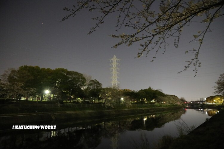 2019/04/04 荒子川公園 2019/04/04 荒子川公園