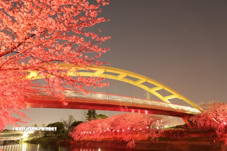 2019/04/06 荒子川公園 パークブリッジ 再び 01 2019/04/06 荒子川公園 パークブリッジ 再び 01