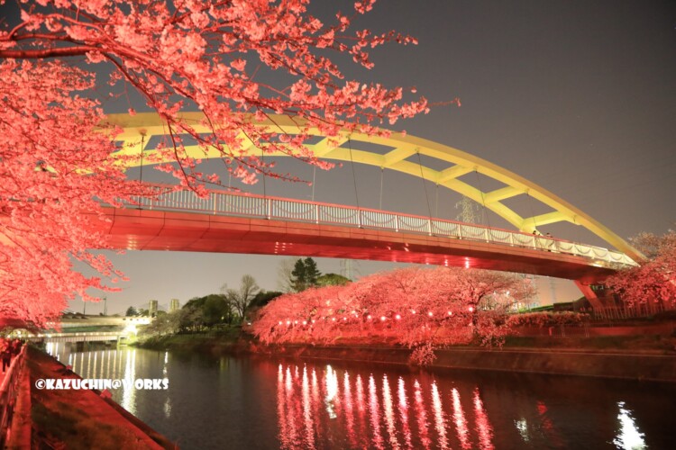 2019/04/06 荒子川公園 パークブリッジ 再び 03 2019/04/06 荒子川公園 パークブリッジ 再び 03
