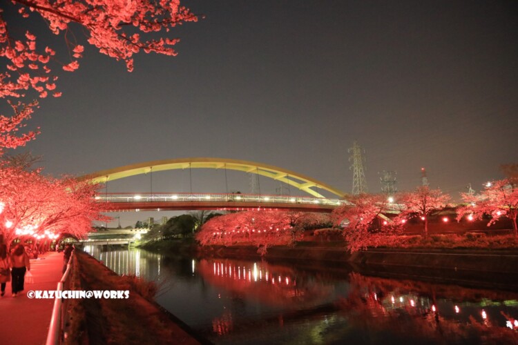 2019/04/06 荒子川公園 パークブリッジ 再び 02 2019/04/06 荒子川公園 パークブリッジ 再び 02