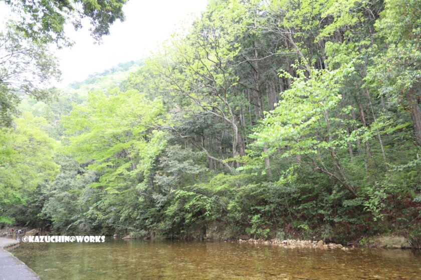 2019/05/04 愛知県民の森 駐車場下の宇連川支流 01 2019/05/04 愛知県民の森 駐車場下の宇連川支流 01