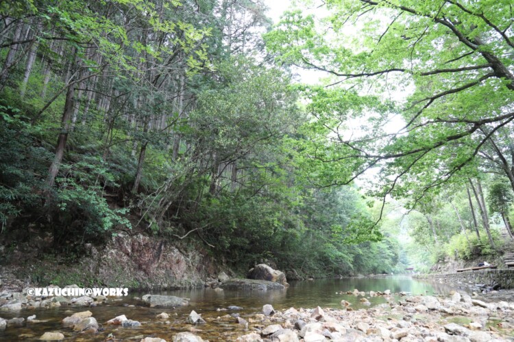 2019/05/04 愛知県民の森 宇連川支流 川辺より 08 2019/05/04 愛知県民の森 宇連川支流 川辺より 08