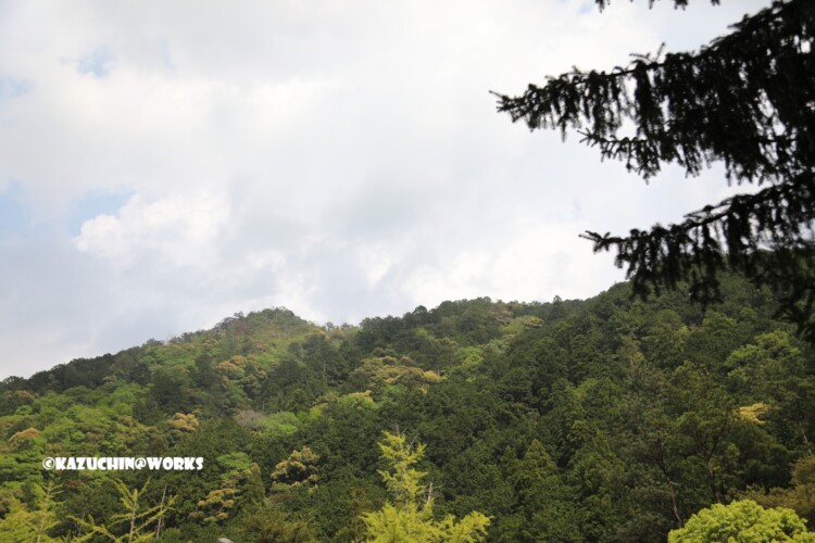 2019/05/04 愛知県民の森 駐車場から北西方面の山 02 2019/05/04 愛知県民の森 駐車場から北西方面の山 02
