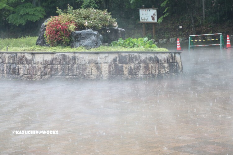 2019/05/04 愛知県民の森 モリトピア愛知前 突然の大雨(雷雨) 03 2019/05/04 愛知県民の森 モリトピア愛知前 突然の大雨(雷雨) 03