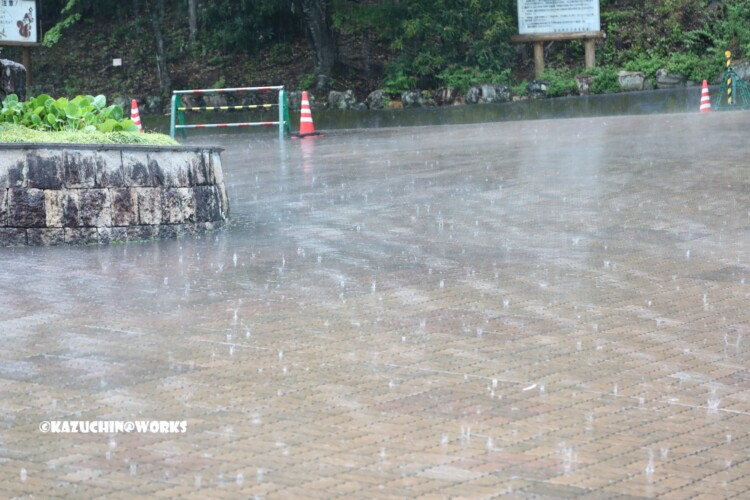 2019/05/04 愛知県民の森 モリトピア愛知前 突然の大雨(雷雨) 04 2019/05/04 愛知県民の森 モリトピア愛知前 突然の大雨(雷雨) 04