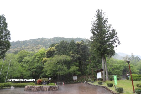 2019/05/04 愛知県民の森 モリトピア愛知前 突然の大雨(雷雨) 05 2019/05/04 愛知県民の森 モリトピア愛知前 突然の大雨(雷雨) 05