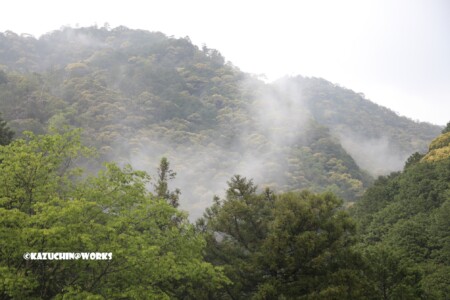 2019/05/04 愛知県民の森 モリトピア愛知 南側の山 01 2019/05/04 愛知県民の森 モリトピア愛知 南側の山 01
