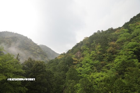 2019/05/04 愛知県民の森 モリトピア愛知 南側の山 02 2019/05/04 愛知県民の森 モリトピア愛知 南側の山 02