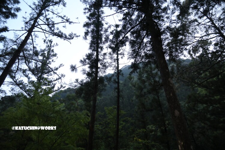 2019/05/04 愛知県民の森 Aキャンプ場 02 2019/05/04 愛知県民の森 Aキャンプ場 02