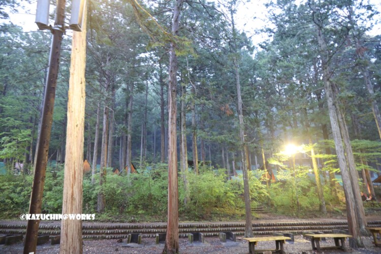 2019/05/04 愛知県民の森 Aキャンプ場 04 2019/05/04 愛知県民の森 Aキャンプ場 04