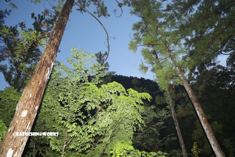 2019/05/04 愛知県民の森 Aキャンプ場 06 2019/05/04 愛知県民の森 Aキャンプ場 06