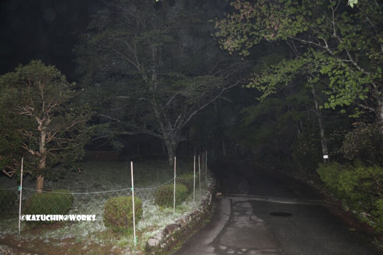 2019/05/04 愛知県民の森 Aキャンプ場からBキャンプ場方面 2019/05/04 愛知県民の森 Aキャンプ場からBキャンプ場方面