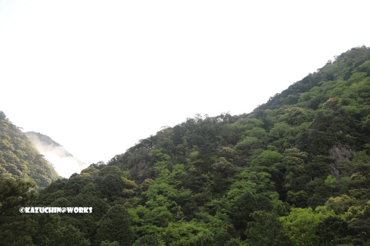 2019/05/05 モリトピア愛知から 02