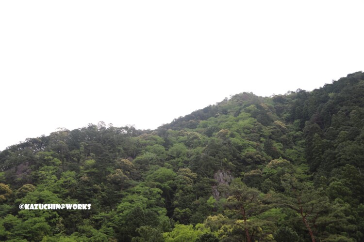 2019/05/05 モリトピア愛知から 03