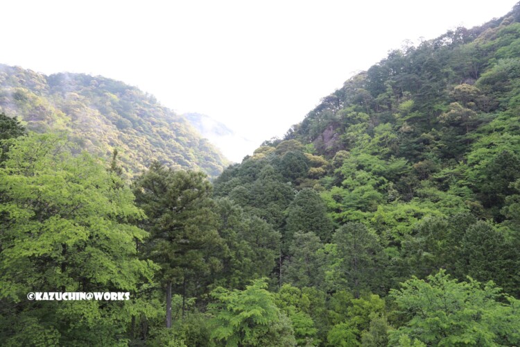 2019/05/05 モリトピア愛知から 04