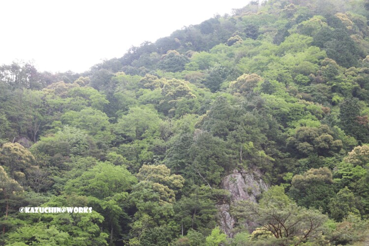 2019/05/05 モリトピア愛知から 05