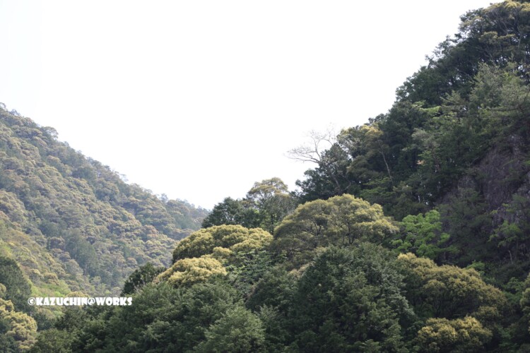 2019/05/05 モリトピア愛知から 06