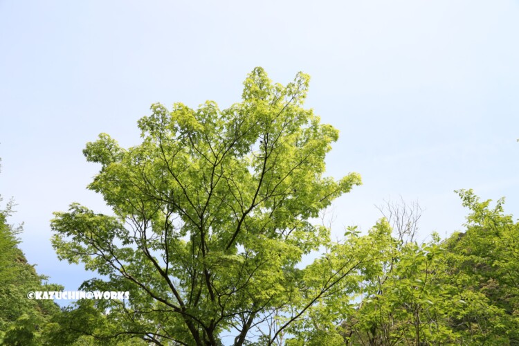 2019/05/05 ~不動滝 01