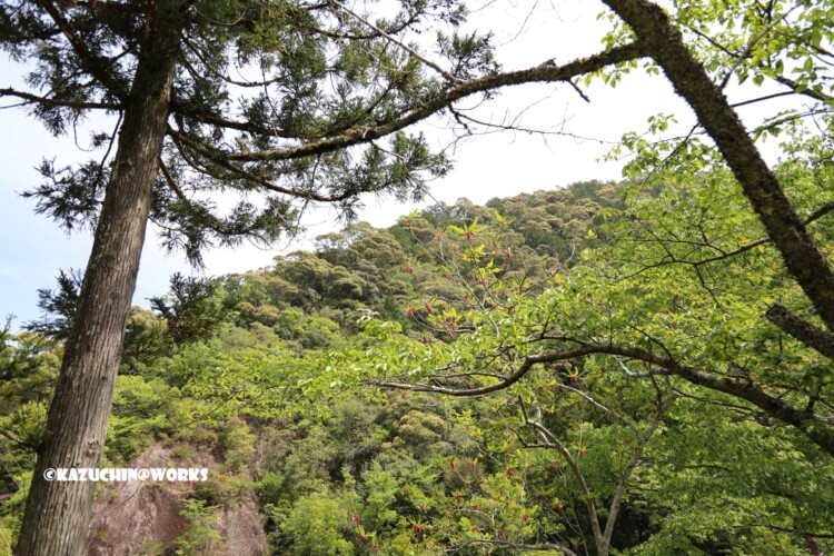 2019/05/05 不動滝周辺 01