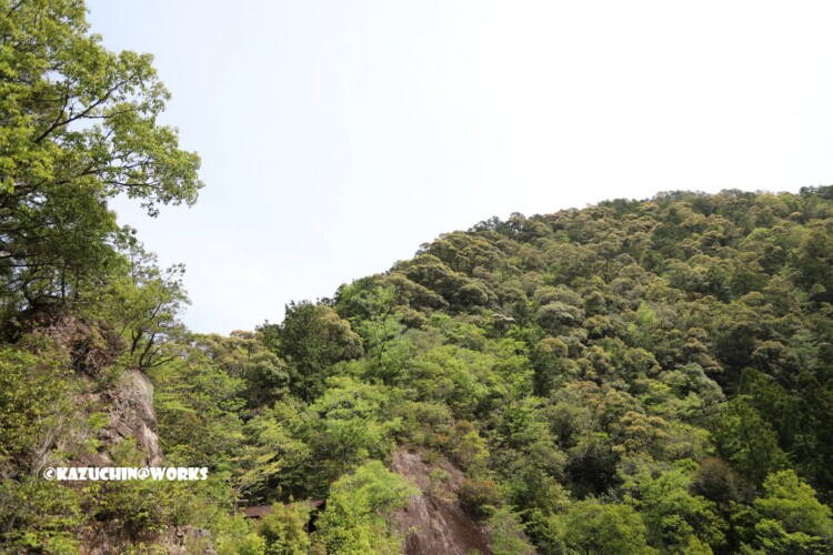 2019/05/05 不動滝周辺 02