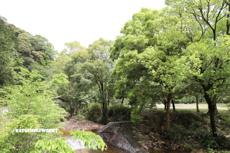 2019/05/05 ~かえで展示林 03