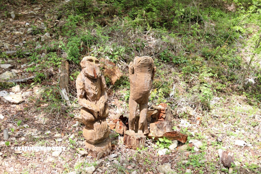 2019/05/05 かえで展示林横 炭焼き場前