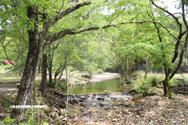 2019/05/05 ~せきれい橋 05