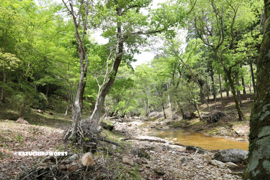 2019/05/05 せきれい橋 周辺 01