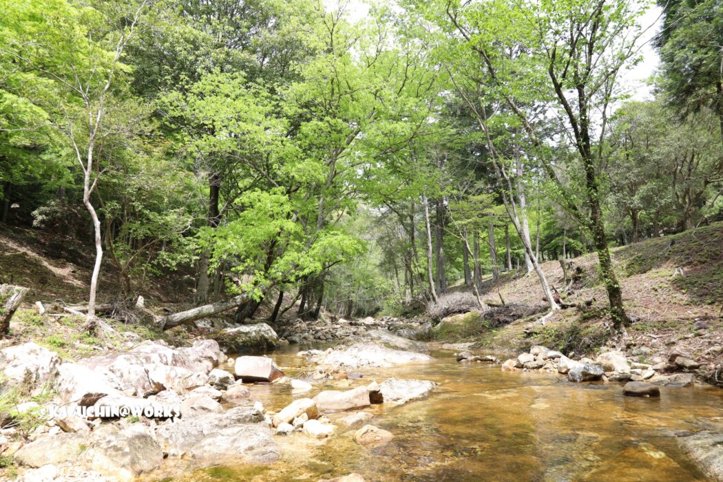 2019/05/05 せきれい橋 周辺 03