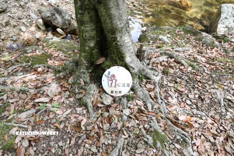 2019/05/05 ~バードサンクチュアリー 01