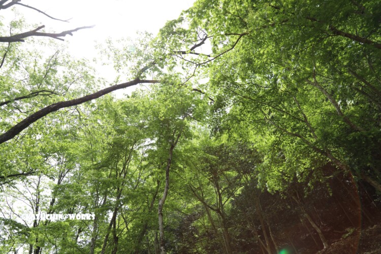 2019/05/05 ~バードサンクチュアリー 04