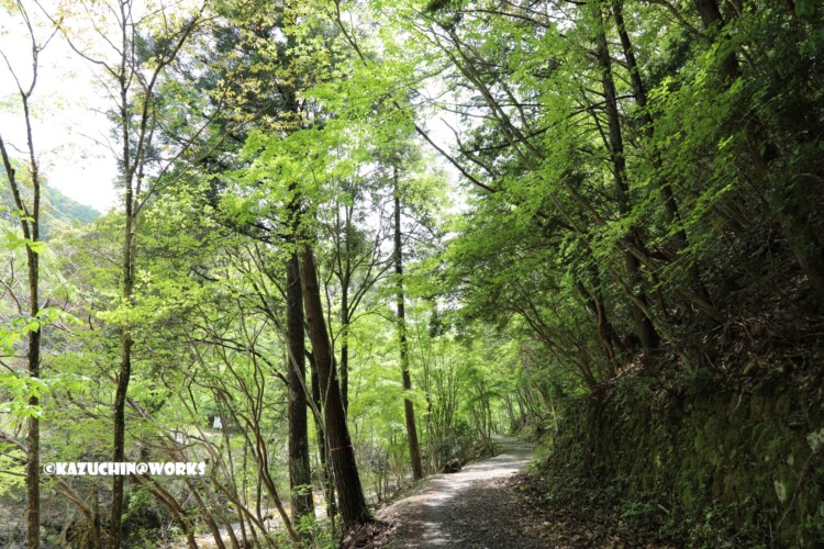 2019/05/05 ~バードサンクチュアリー 05