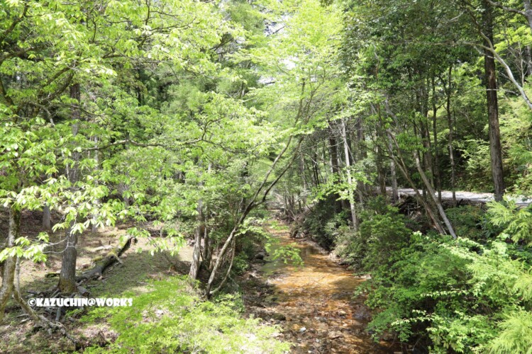 2019/05/05 ~バードサンクチュアリー 03