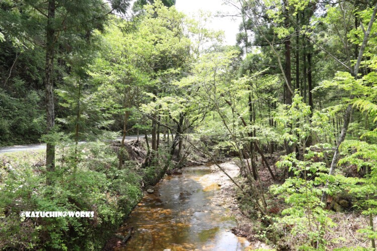 2019/05/05 ~バードサンクチュアリー 04