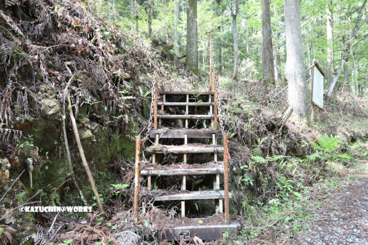 2019/05/05 ~バードサンクチュアリー 05