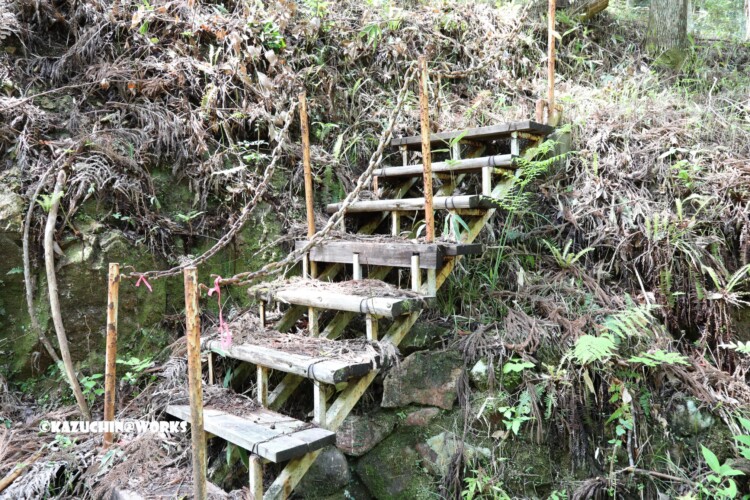 2019/05/05 ~バードサンクチュアリー 06