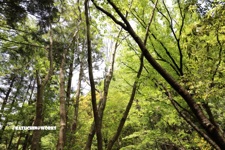 2019/05/05 ~下石非常待避所 03