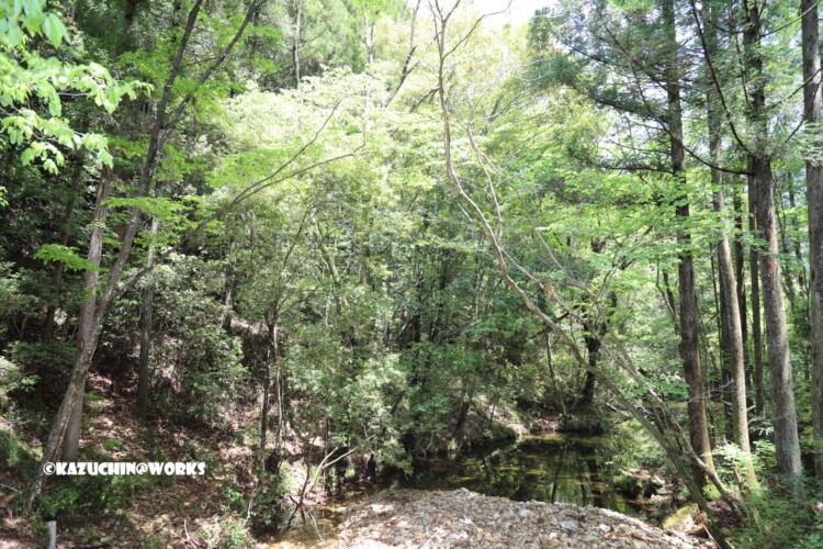 2019/05/05 ~下石非常待避所 04